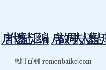 唐代墓志汇编·唐故周夫人墓志序是什么意思的图片